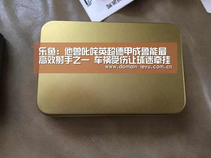 乐鱼体育入口