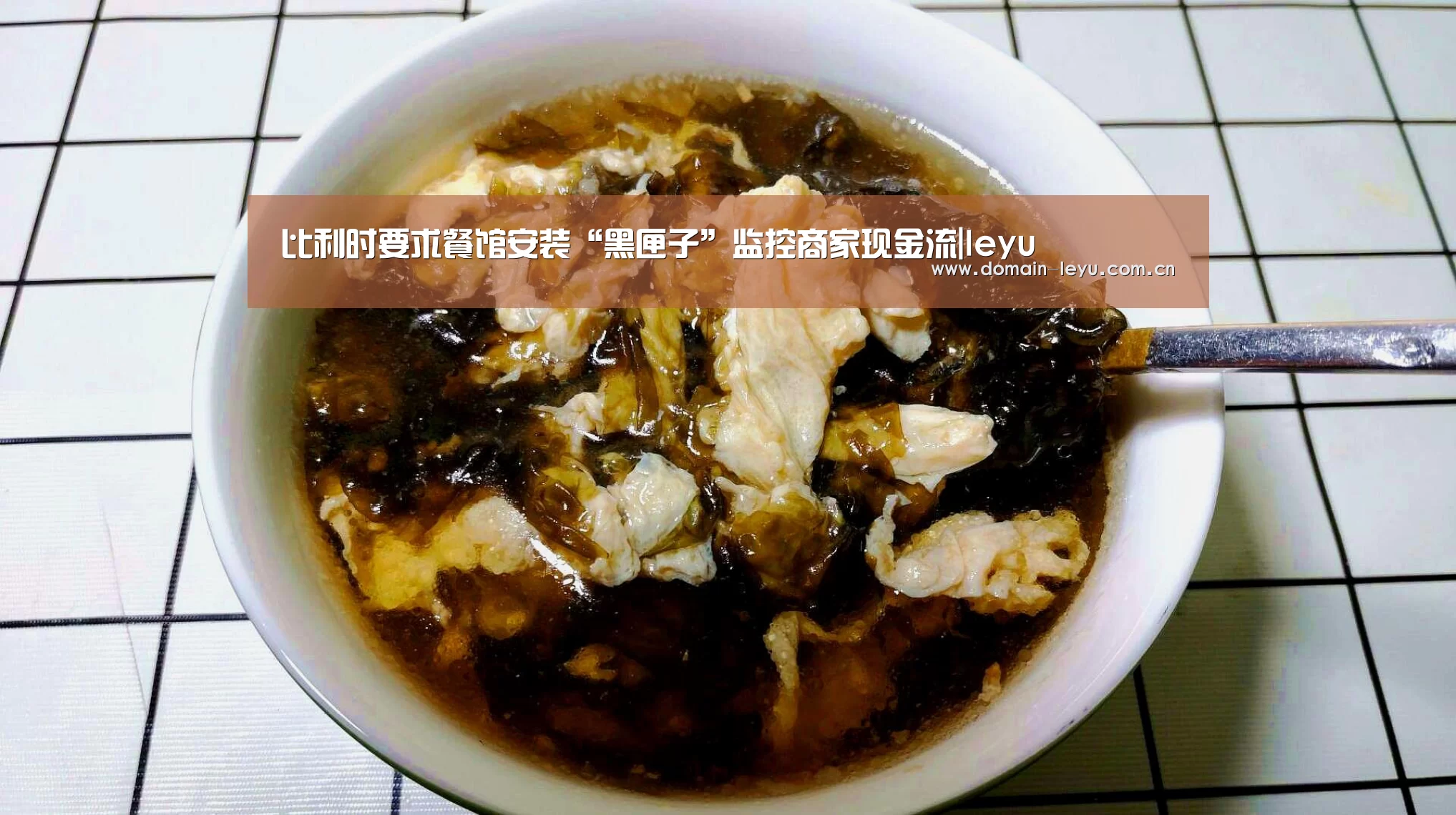 比利时要求餐馆安装“黑匣子”监控商家现金流|leyu(图4) 比利时要求餐馆安装“黑匣子”监控商家现金流|leyu(图4)