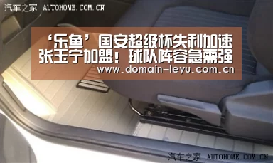 乐鱼