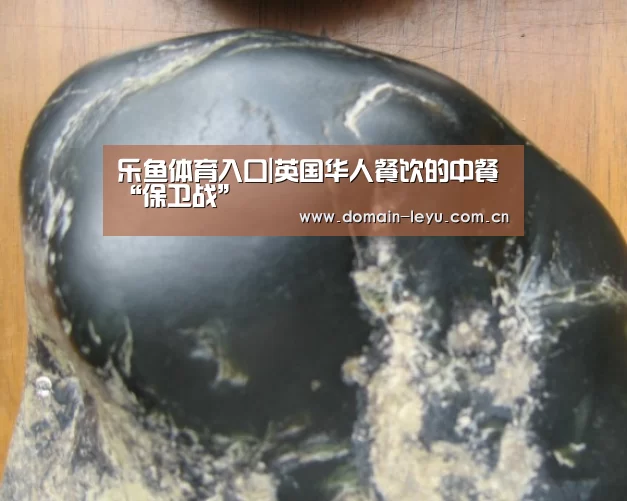 乐鱼体育