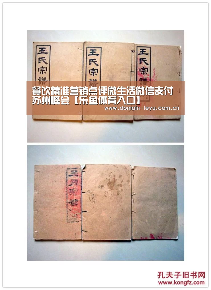 餐饮精准营销点评微生活微信支付苏州峰会【乐鱼体育入口】(图4)